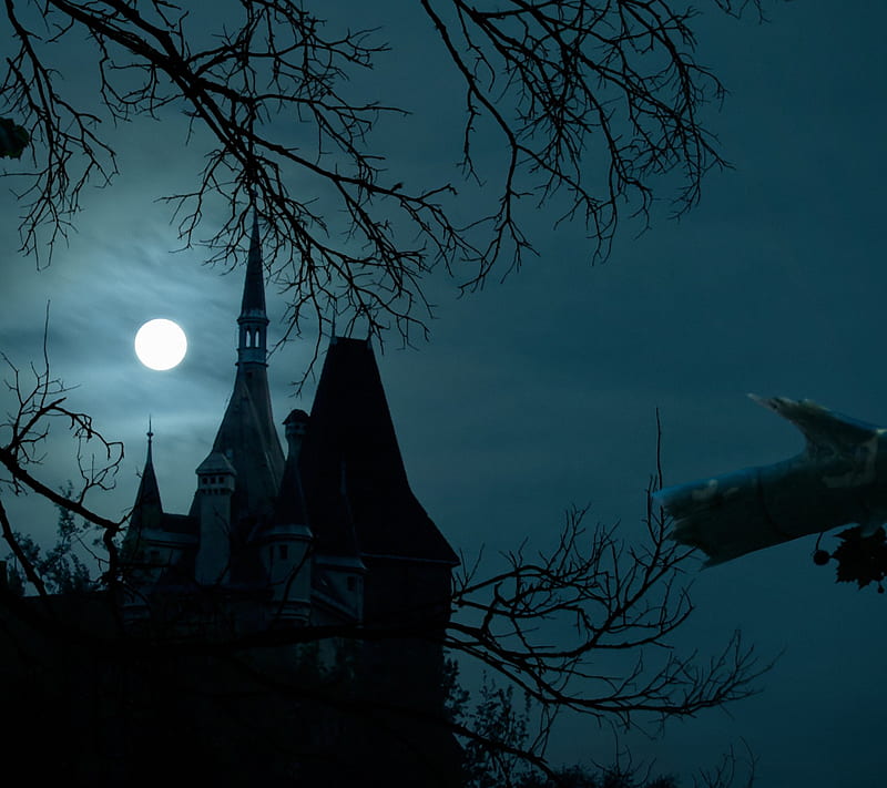 Spooky House, creepy, dark, eerie, haunted, moon, moonlight, night, scary, HD wallpaper