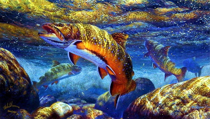 Matching the Hatch Brook Trout, underwater, water, stones, fish, painting, artwork, HD wallpaper