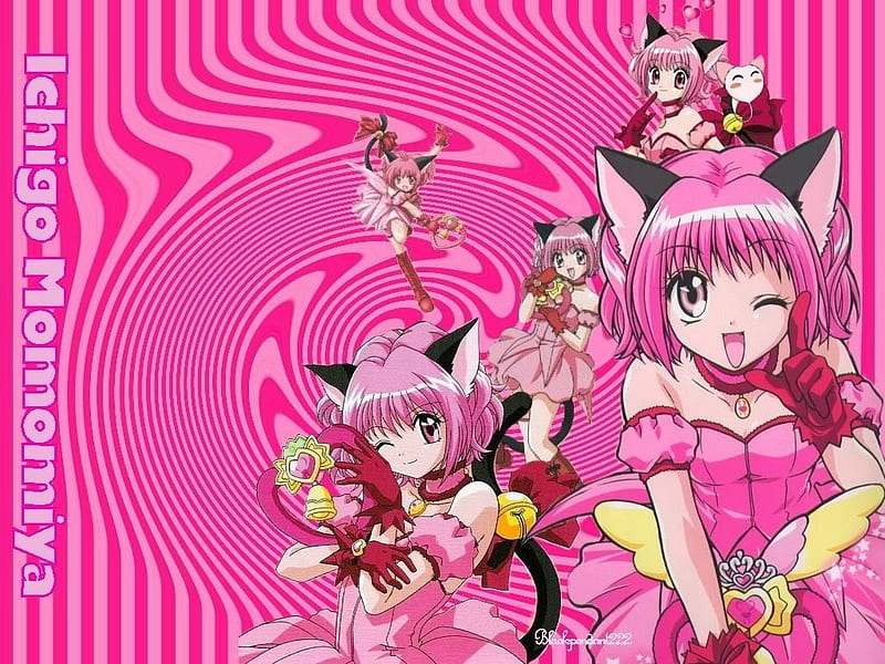 Ichigo Momomiya, circle, tokyo mew mew, anime, kitty, pink, strawberry bell, HD wallpaper