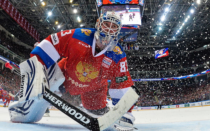 Vasily Koshechkin, ice hockey goaltender, Russian national hockey team, hockey stadium, Russia, HD wallpaper