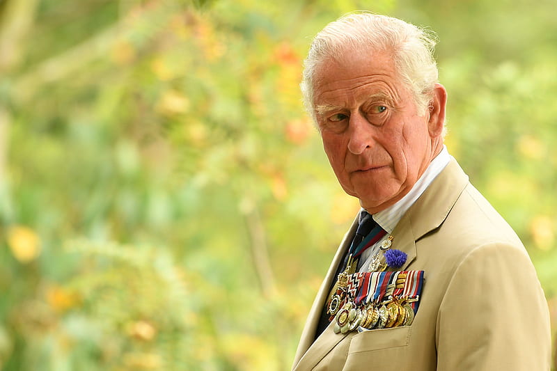 Prince Charles became king after Queen Elizabeth II's death. How