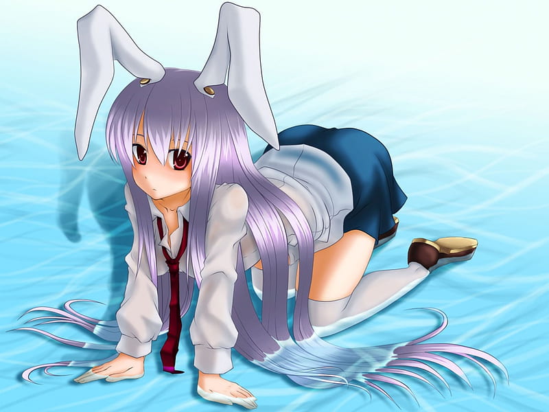 Cute bunny, Cute, bunny, ANIME girl, school girl, HD wallpaper