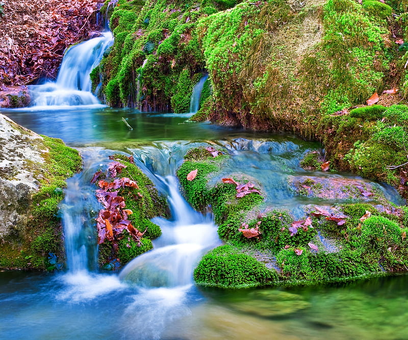 Spring Waterfall, flowers, forest landscape, nature, river, HD wallpaper