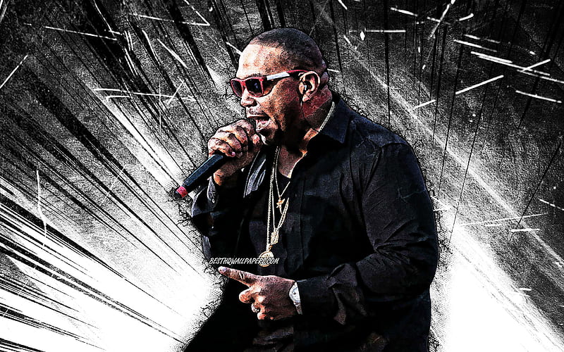 Timbaland, grunge art, american rapper, music stars, white abstract rays, Timbaland with microphone, Timothy Zachery Mosley, american celebrity, Timbaland, HD wallpaper