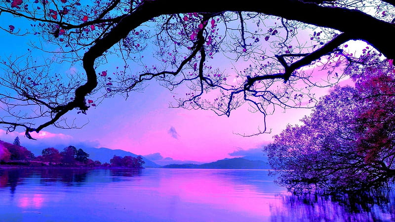 Purple landscape, beautiful, magic nights, graphy, nice, calm, 2560x1440, river, mirror, purple world, blue, amazing, reflex, , lakescape, rederized, sky, lake, panorama, leaf, tree, water, riverscape, cool, purple, awesome, nature, reflections, landscape, HD wallpaper