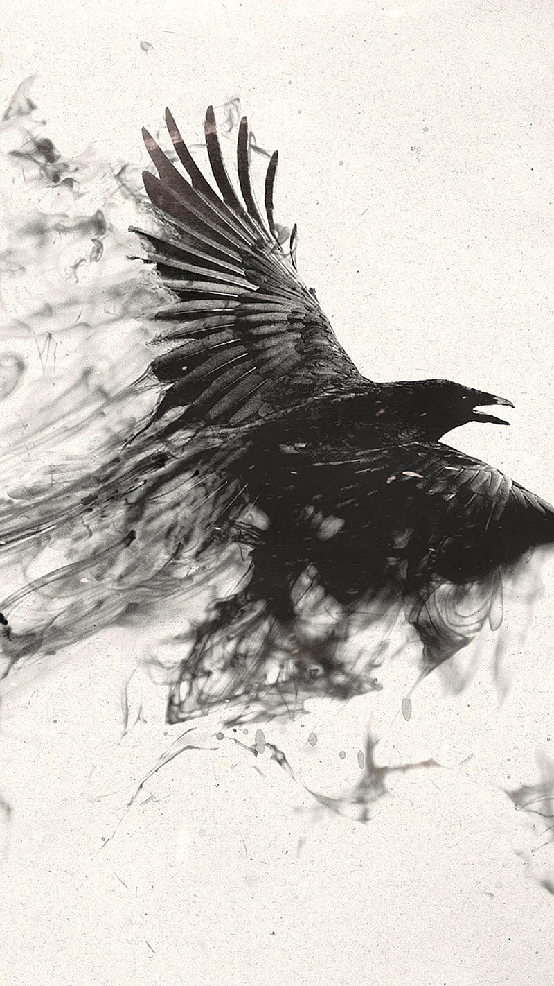 Black bird, fly, smoke, HD phone wallpaper