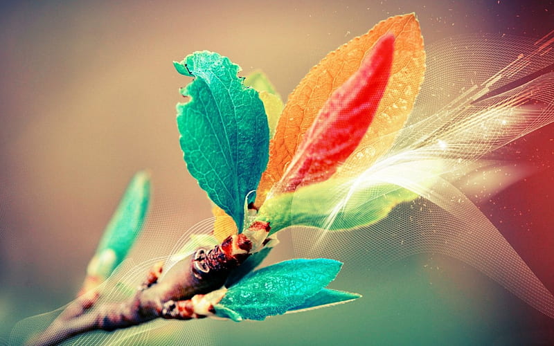 *** Twig with colorful leaves ***, abstrakcja, kolorowa, fantazy, galazka, HD wallpaper