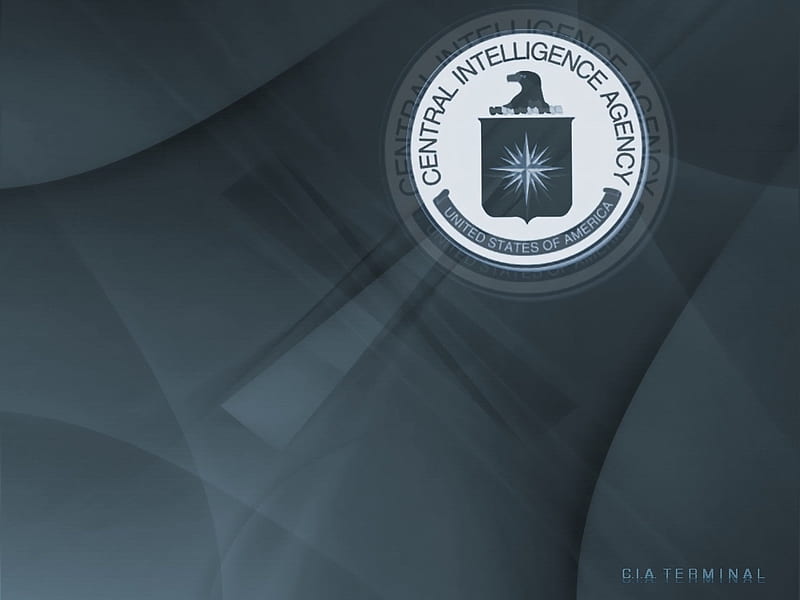 CIA Terminal, fbi, terminal, cia, HD wallpaper