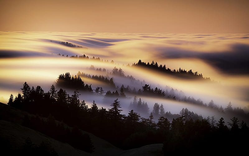 Marin County Mist Morning , mist, morning, nature, HD wallpaper
