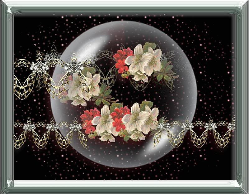 Flowers in a Globe, globe, black, flowers, clear, HD wallpaper
