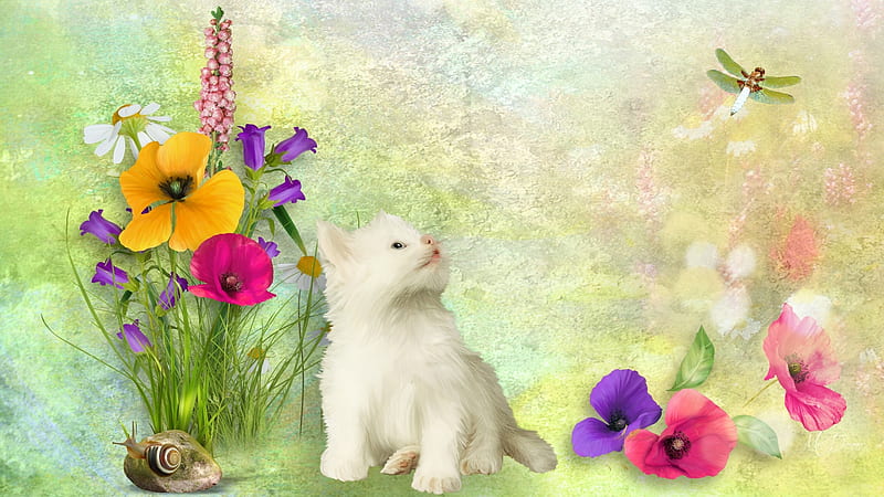 Summer Kitten, wild flowers, kitty, spring, green, summer, dragonfly, flowers, kitten, Firefox Persona theme, HD wallpaper