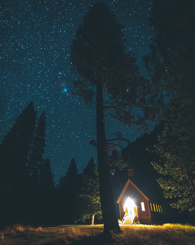 starry sky, house, forest, night, HD phone wallpaper