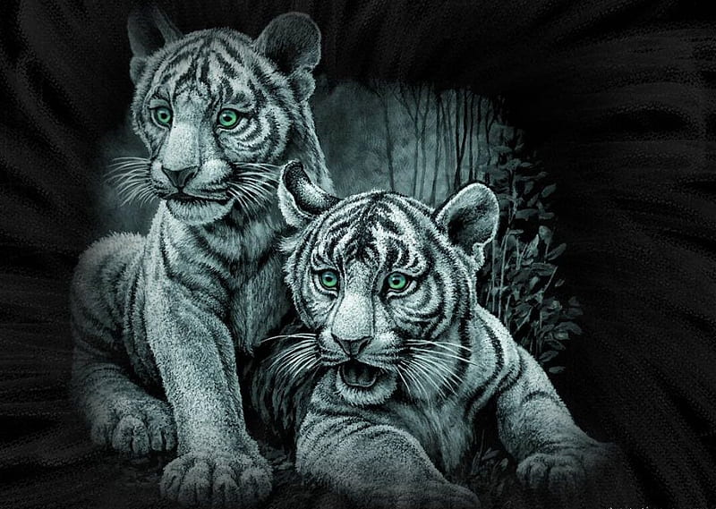 White tiger cubs, painting, black, cub, tiger, tigru, white, pictura, art, cute, couple, HD wallpaper