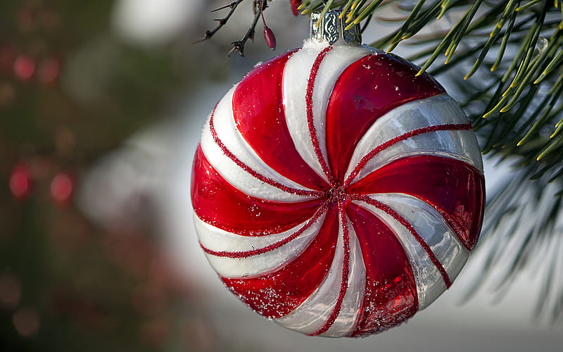 Christmas Ornament Photos Download The BEST Free Christmas Ornament Stock  Photos  HD Images