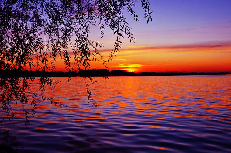 Beautiful Sunset nature, nice, sea, sky, sunrise, view, HD phone wallpaper  | Peakpx