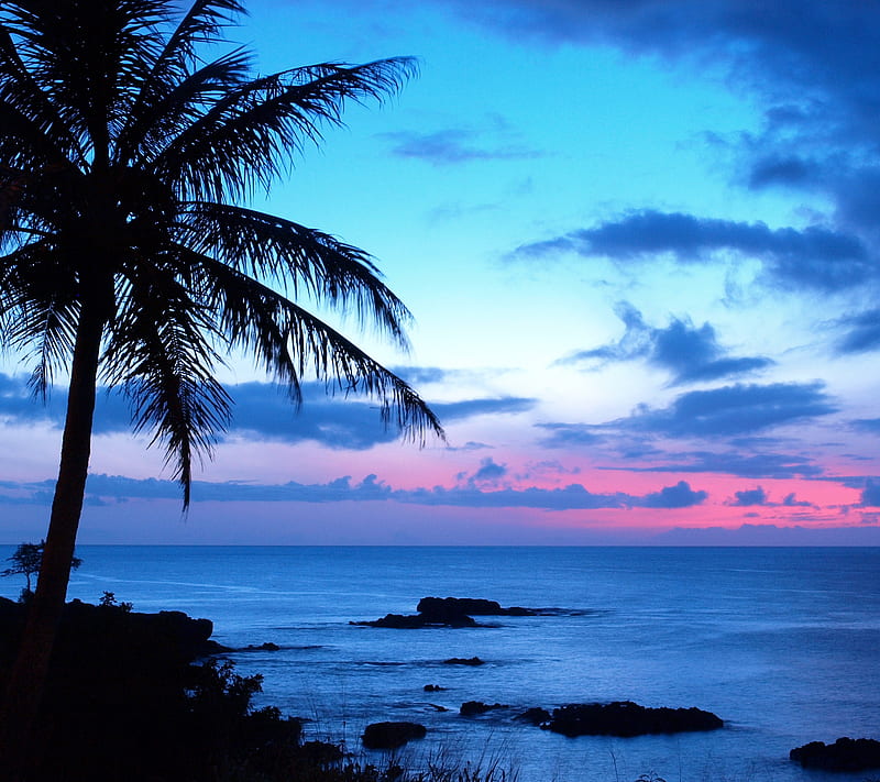 Tropical Sunset, bonito, HD wallpaper | Peakpx