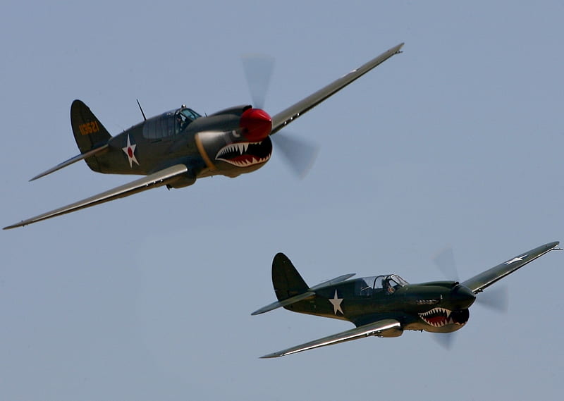 Curtiss P-40 Warhawks, usaf, guerra, warhawk, ww2, fighter, p40, curtiss, HD wallpaper