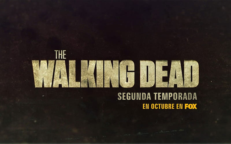 The Walking Dead-American TV series 15, HD wallpaper