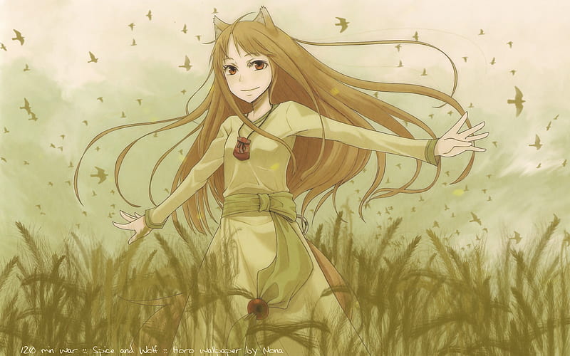 Spice and Wolf, wolfgirl, horo, wheat, birds, green, wolf girl, holo, wolf, HD wallpaper