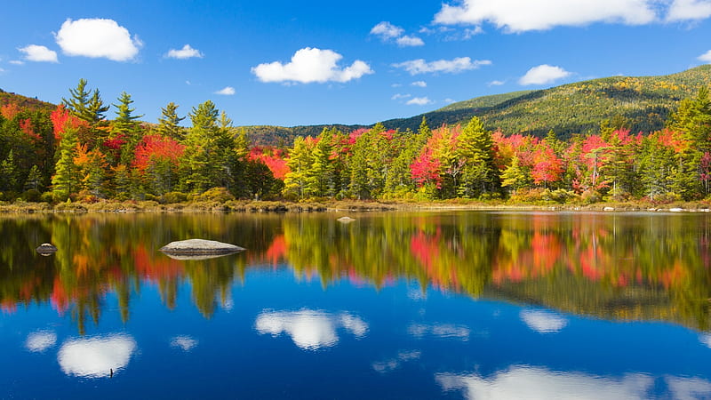Lakeside Autumn Trees in White Mountains of New Hampshire, Mountains, Trees, Lakes, Autumn, Nature, HD wallpaper