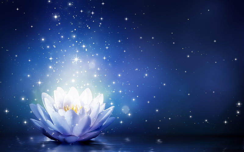 Magical lotus, fantasy, lotus, luminos, flower, magical, white, blue, HD wallpaper