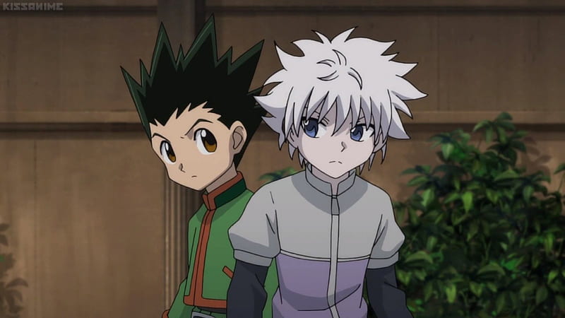 HD wallpaper: Hunter x Hunter, Gon css, Killua Zoldyck