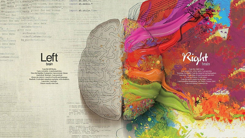 Left Brain vs. Right Brain, info, Left Brain, information, Right Brain, infographic, HD wallpaper