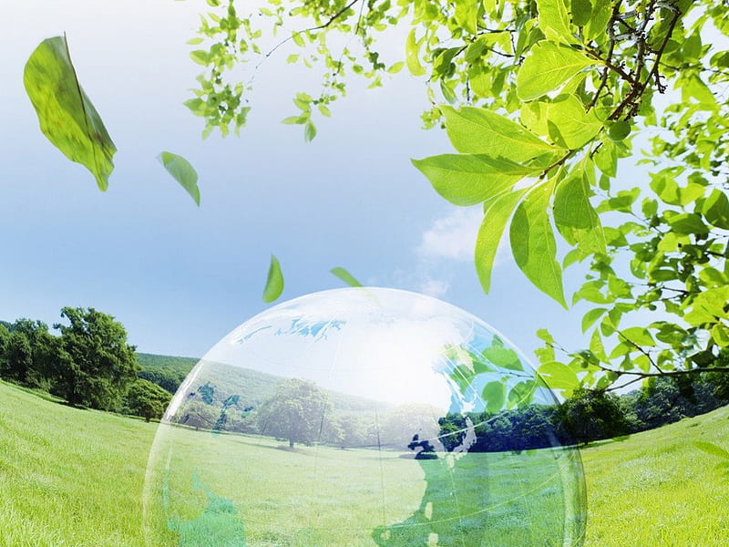 Globe on Grassland, Green leaves, blue sky, greenroofs, leaves, green, grass, nature, sky, blue, HD wallpaper