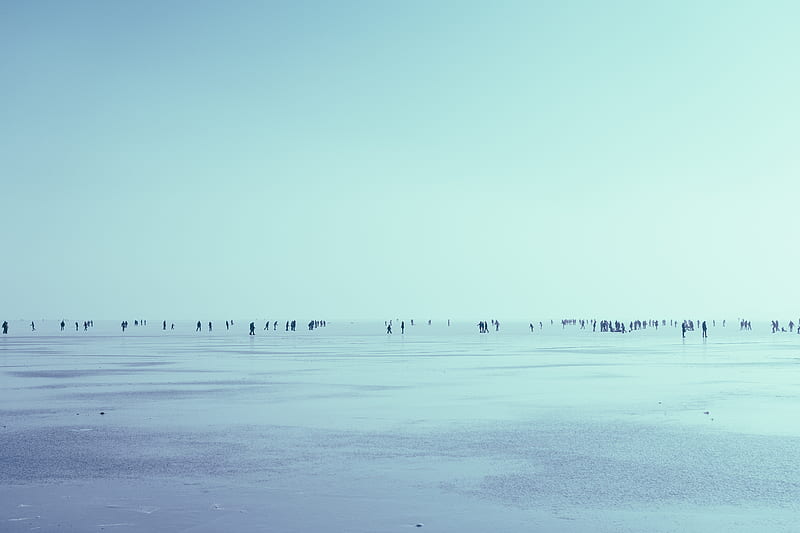 people walking in seashore over the horizon during daytime, HD wallpaper