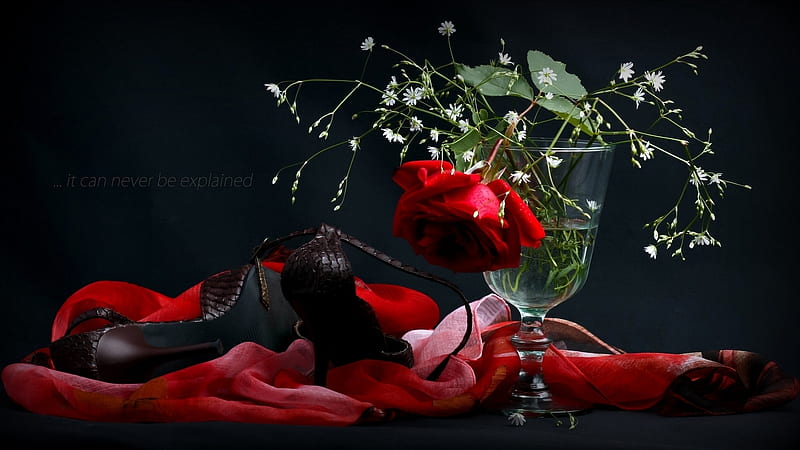 Rose, Handkerchief, Vase, Shoes, HD wallpaper