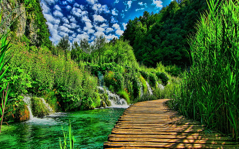 Plitvice Lakes, R, summer, beautiful nature, Croatia, Plitvice Lakes National Park, Croatian landmarks, Europe, HD wallpaper