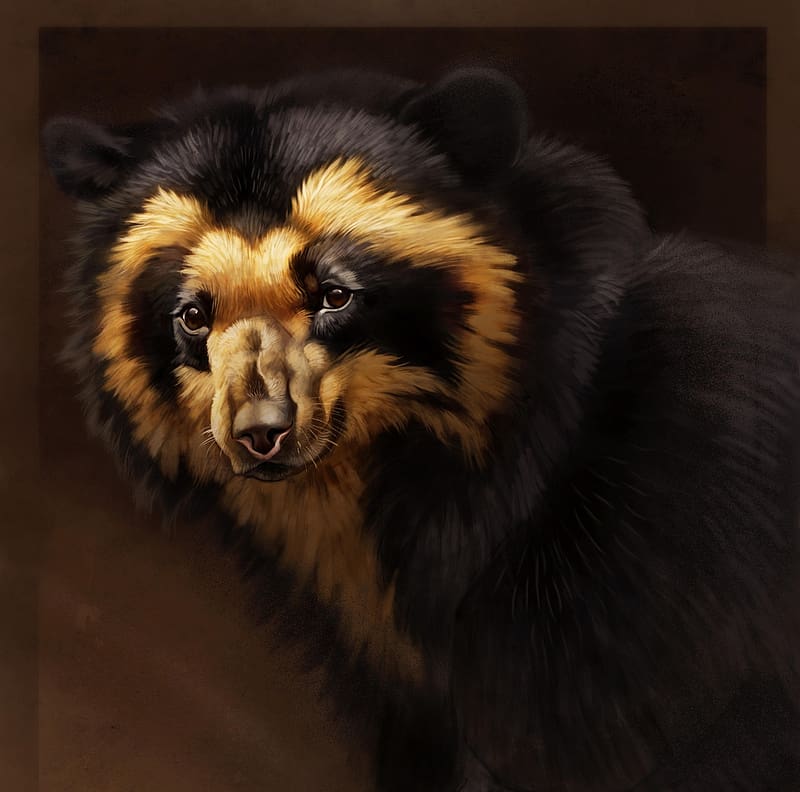 Spectacled bear, animal, art, bear, pixxus, dark, HD wallpaper