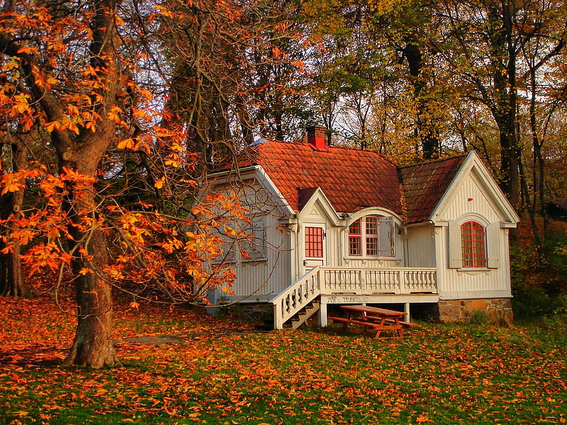 Cabaña en un bosque de otoño, otoño, bosque, naturaleza, cabaña, Fondo de  pantalla HD | Peakpx