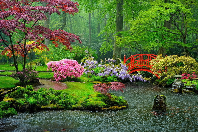 Japanese garden, spring, park, pond, rain, garden, beautiful, summer, Netherland, greenery, trees, bridge, Holland, HD wallpaper