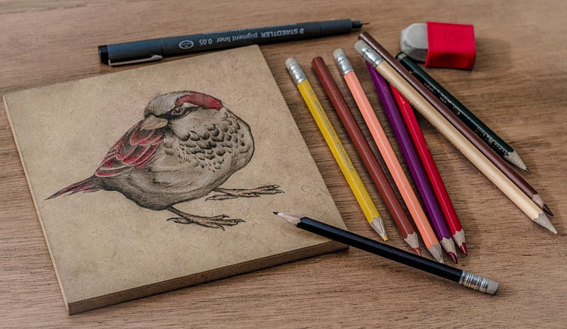 Art, pencil, bird, drawing, HD wallpaper