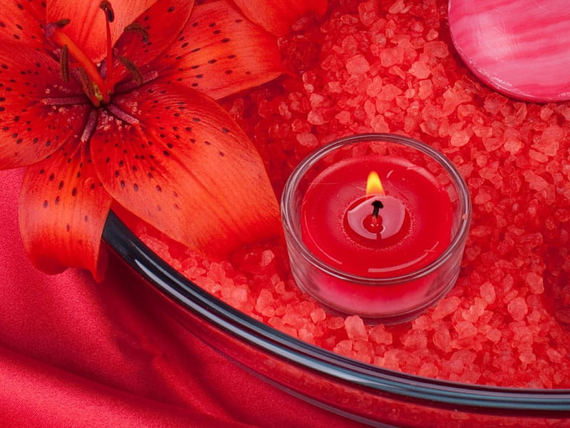 CANDLE AND FLOWER, bougie, flower, lumiere, rouge, HD wallpaper