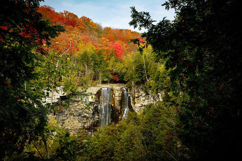 Eugenia Falls amongst the fall colours of Ontario, Canada, trees, leaves, autumn, river, cascade, hill, HD wallpaper