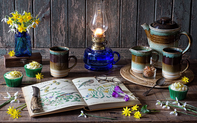 Welcoming in the Spring, spring, mugs, still life, lamp, book, flowers, HD wallpaper