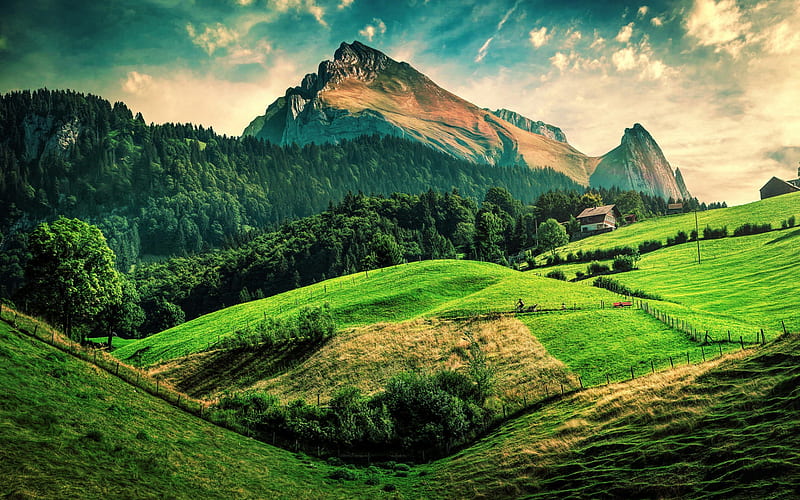 mountain landscape, evening, rocks, forest, green trees, green meadows, Europe, Alps, HD wallpaper