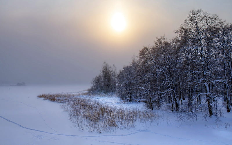 Sun through Cloudy Winter Sky, snow, nature, white, clouds, sky, winter, HD wallpaper