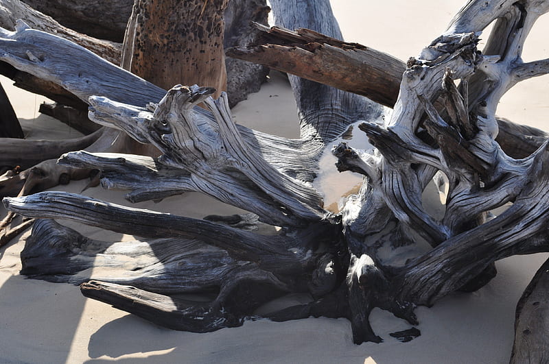 Drift Wood In the early Morning, shadows, Wood, abstract, sunlight, HD wallpaper