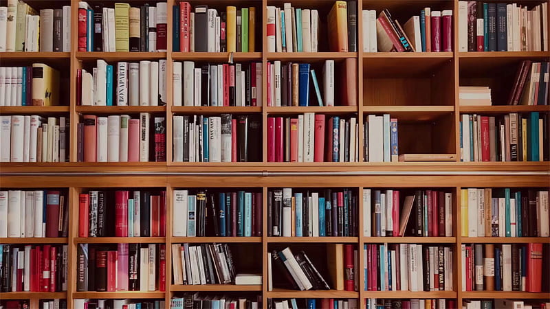 Hermosas bibliotecas de todo el mundo que todo amante de los libros debería  visitar, Fondo de pantalla HD | Peakpx