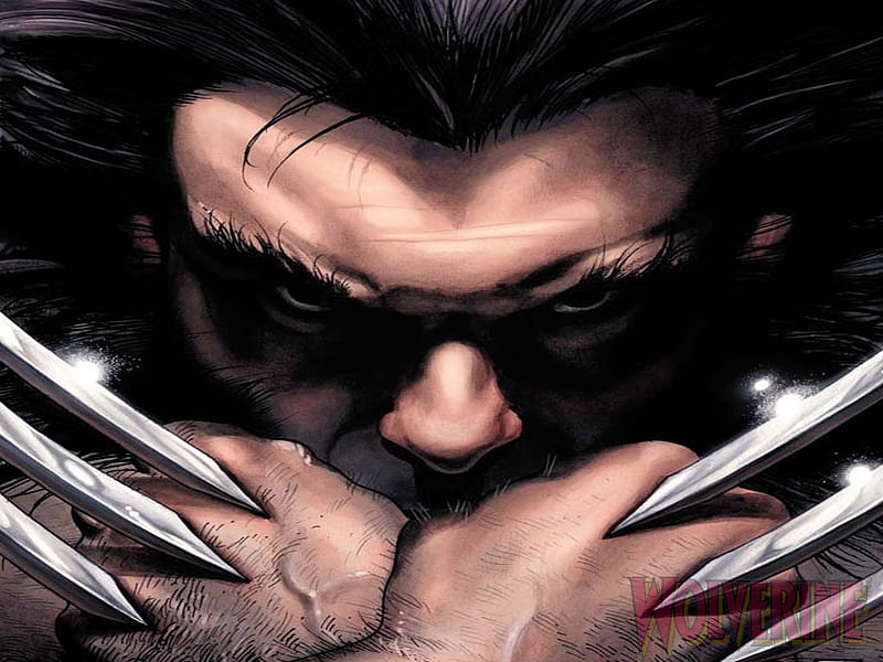 Wolverine, marvel, male, boys, heroes, comics, man, HD wallpaper