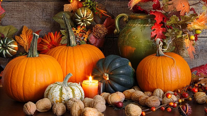 Bounty of Nature, autumn, vase, squash, walnuts, fall, garden, gourds, pumpkins, leaves, chesnuts, candle, light, harvest, HD wallpaper