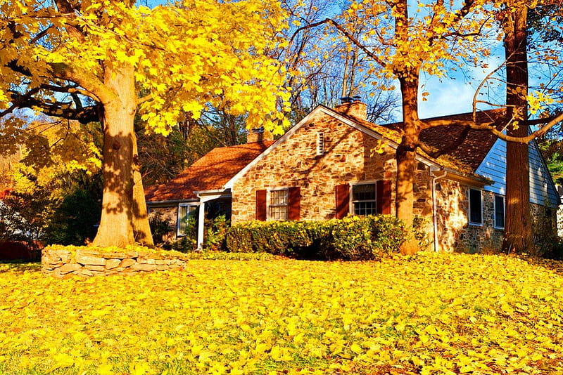 Golden days, fall, silent, autumn, house, cottage, falling, bonito, foliage, countryside, leaves, nice, village, quiet, calmness, lovely, golden, trees, serenity, peaceful, day, nature, HD wallpaper
