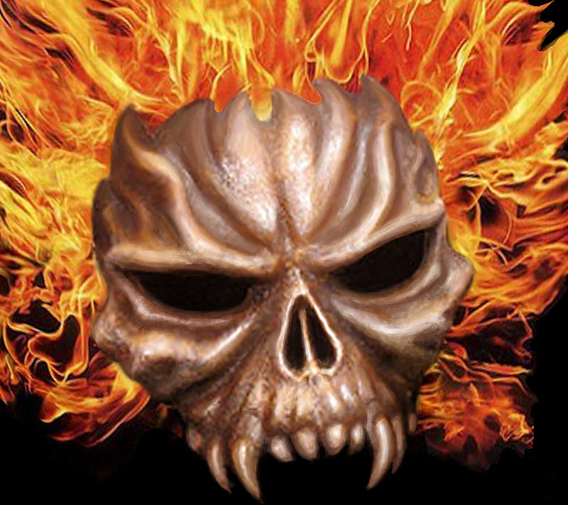 Hott, on fire, skull, HD wallpaper