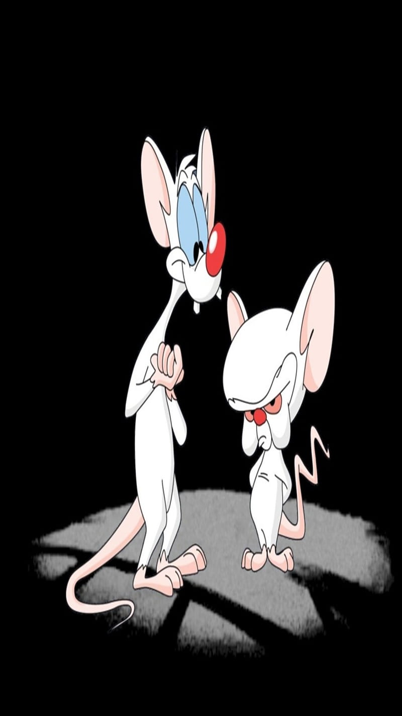 Pinky and The Brain, cartoons, pink and the brain, HD phone wallpaper