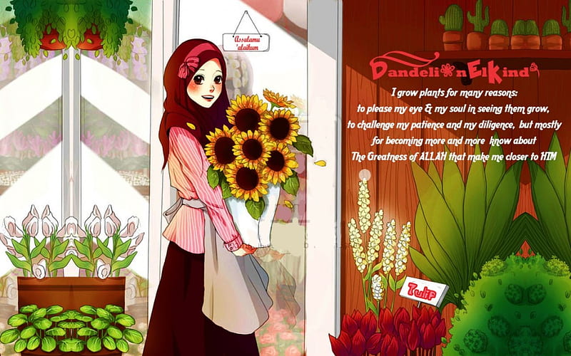 being florist, grow, sun, florist, plant, patience, Allah, flower, Greatness, cacti, HD wallpaper