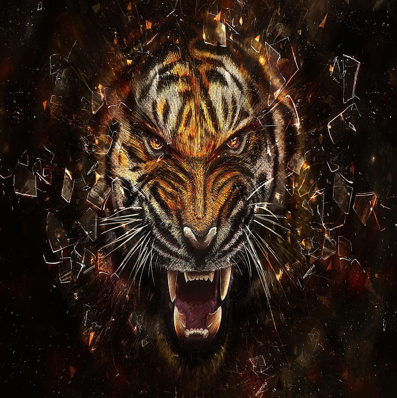 Tiger, abstract, animals, HD phone wallpaper