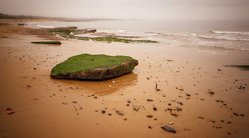 A small island:), pretty, beach, rocks, graphy, moss, nature, ecosystem, HD wallpaper